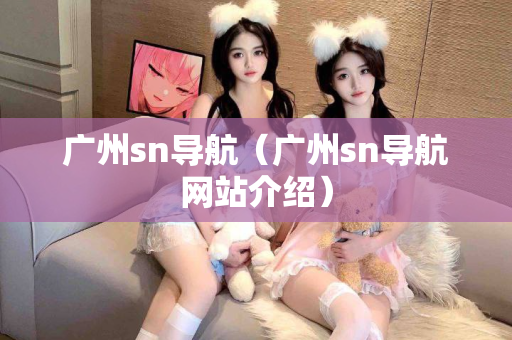 广州sn导航（广州sn导航网站介绍）