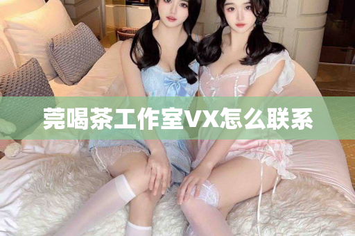 莞喝茶工作室VX怎么联系